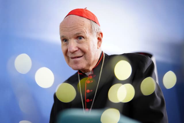 Cardinal's Illuminated Presence
